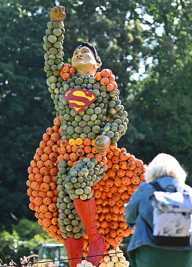 Pumpkin Festival Germany 2025 Photos14