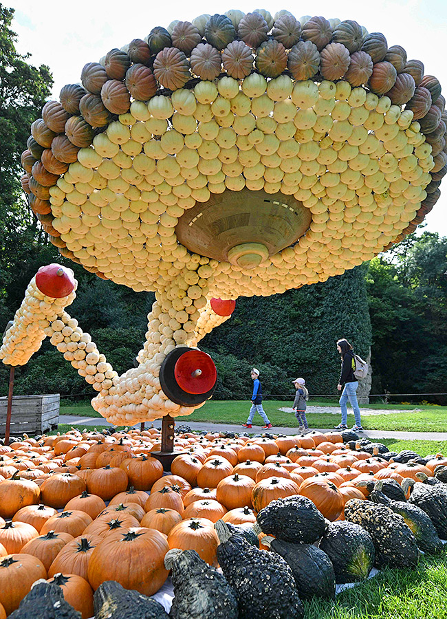 Pumpkin Festival Germany 2025 Photos15