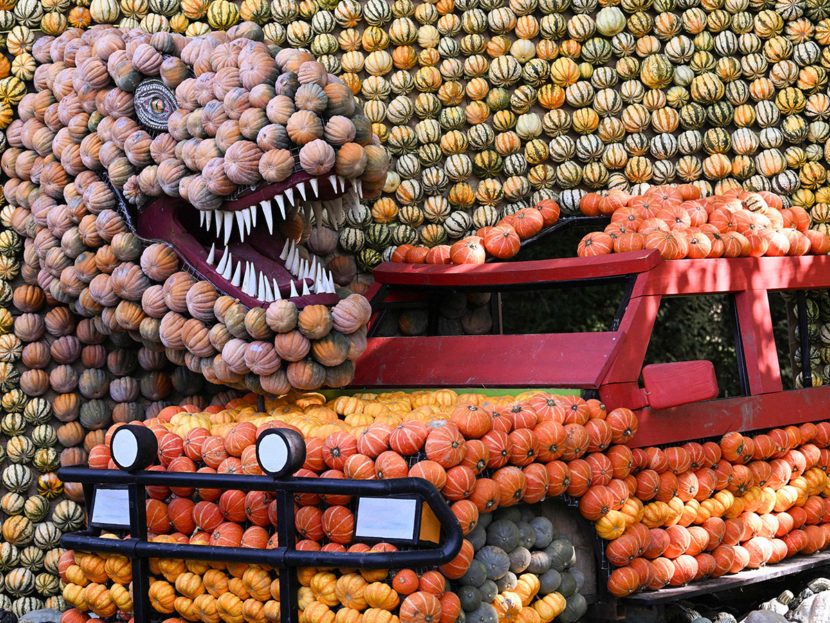 Pumpkin Festival Germany 2025 Photos17