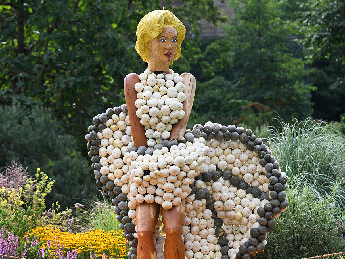 Pumpkin Festival Germany 2025 Photos2
