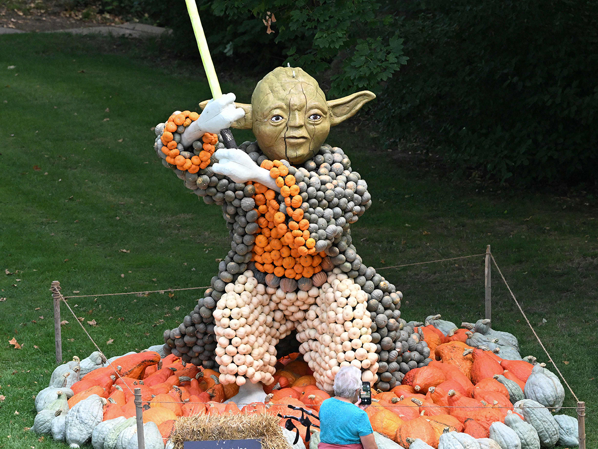 Pumpkin Festival Germany 2025 Photos3