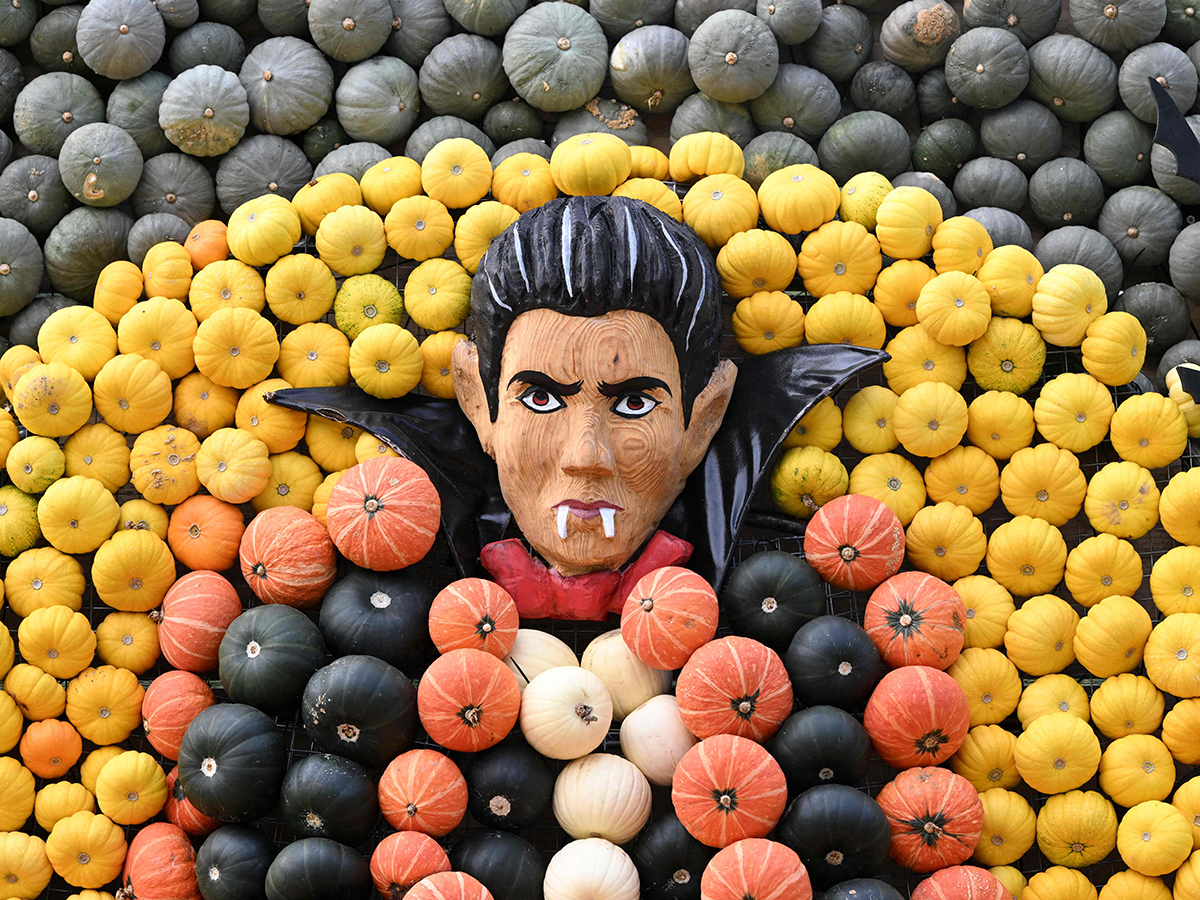 Pumpkin Festival Germany 2025 Photos4