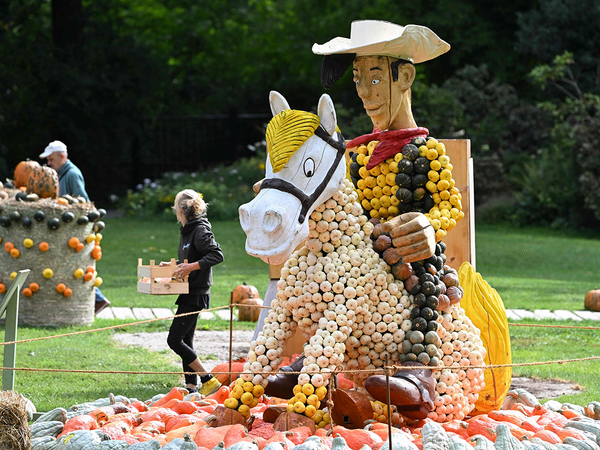Pumpkin Festival Germany 2025 Photos5