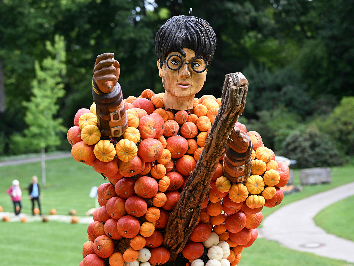 Pumpkin Festival Germany 2025 Photos6