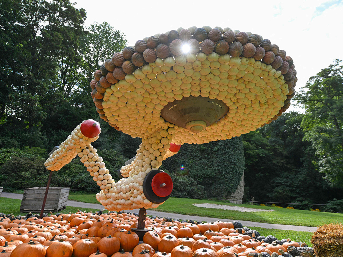 Pumpkin Festival Germany 2025 Photos7