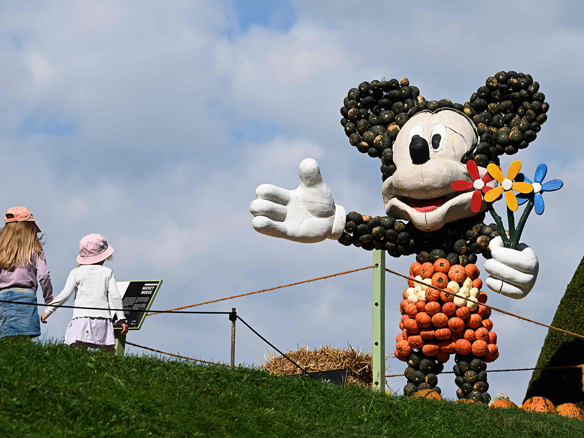 Pumpkin Festival Germany 2025 Photos8
