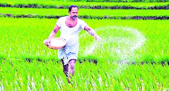 ఎరువు.. మరింత బరువు 1