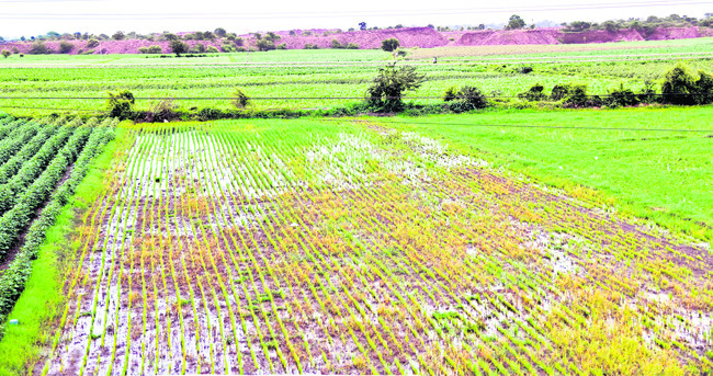 కన్నీరు వర్షిం‘చేను’! 1