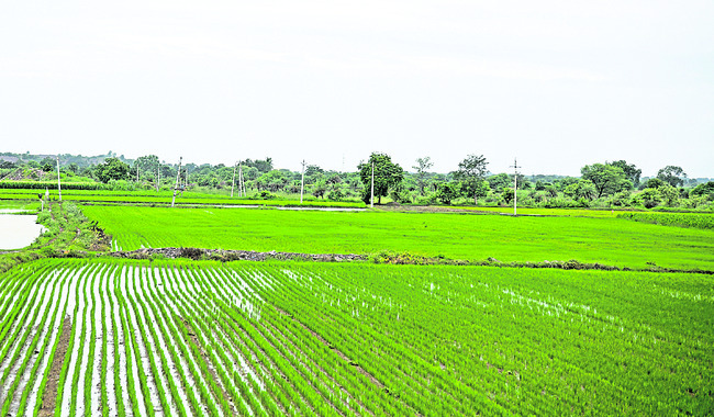 కన్నీరు వర్షిం‘చేను’! 3