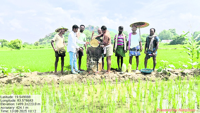ప్రకృతి సేద్యానికి సై! 2