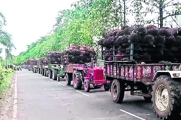 పెండింగ్ పనులు పూర్తిచేయాలి
1