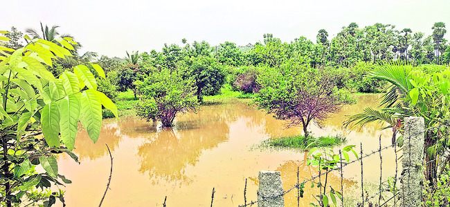 వర్షం.. అపార నష్టం1