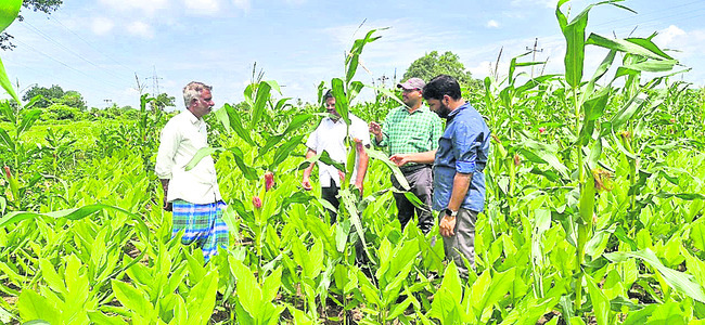 యూరియా కోసం  బారులు
1
