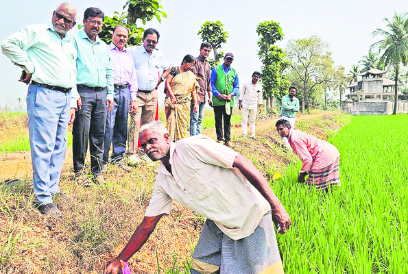 కరేట్ టైమ్1
