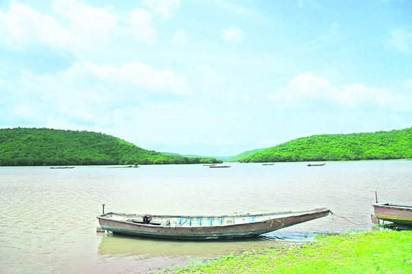 యూరియా ఇక్కట్లు 1