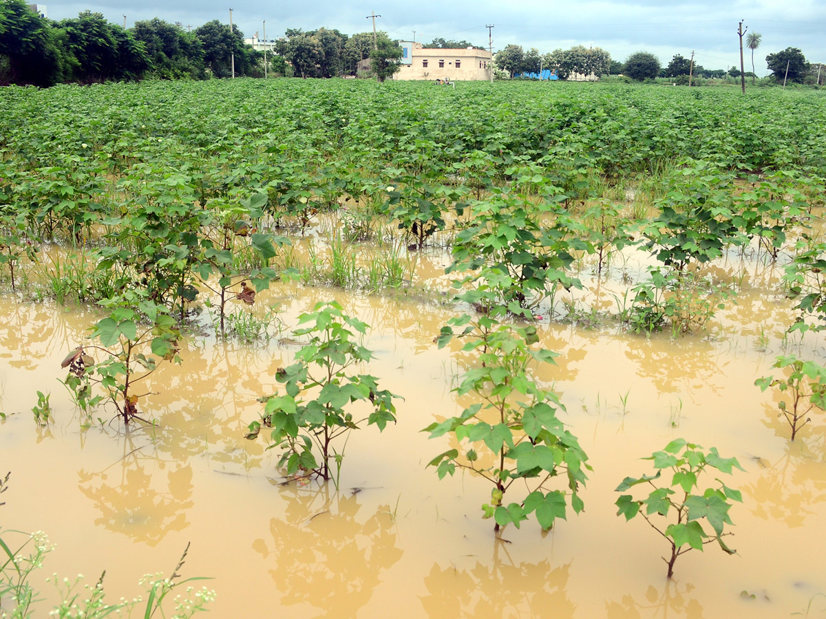 Best Photos of The Week in AP and Telangana Photo Gallery31
