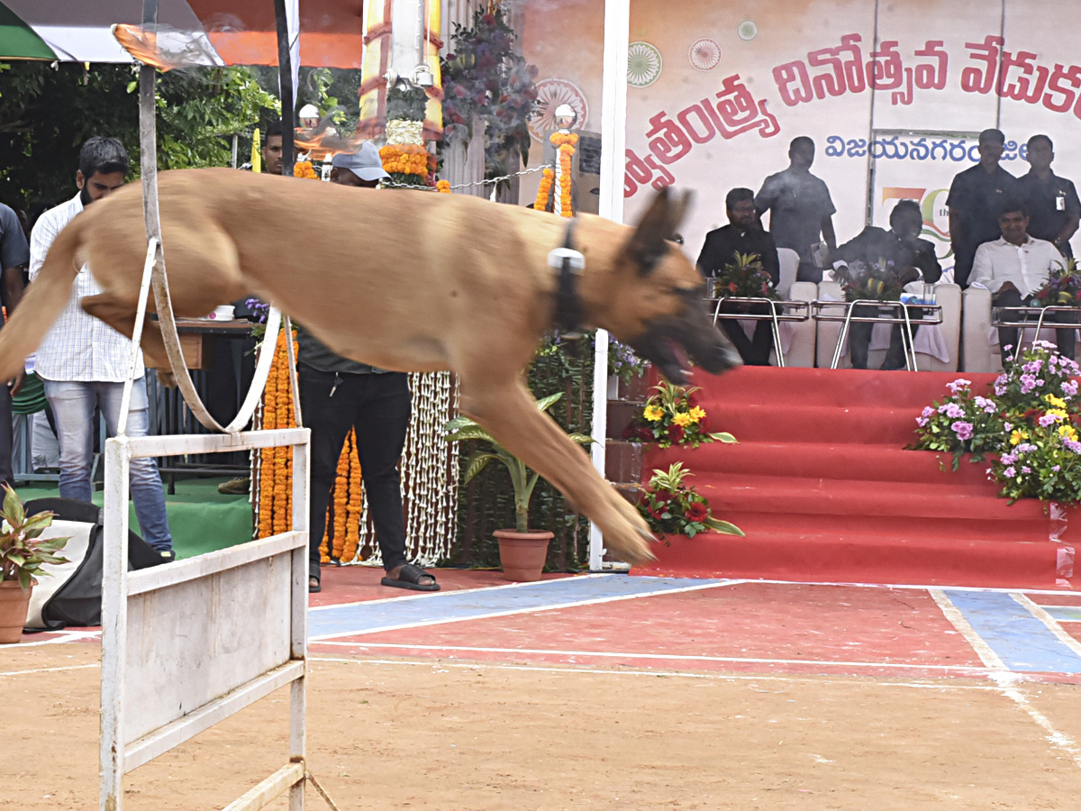 Best Photos of The Week in AP and Telangana Photo Gallery41