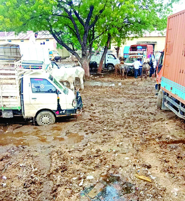 భరించలేని దుర్వాసన 2