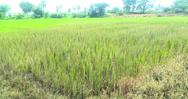 అసలేం జరిగింది..!2