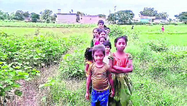 పొలం గట్లే పిల్లలకు దారి..1