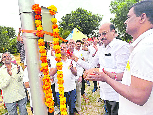 మొక్కజొన్నపై అడవి పందుల దాడి 1