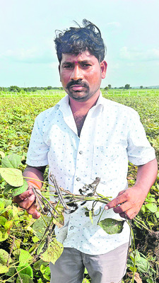 రైతుల కష్టం.. వర్షాలతో నష్టం 2