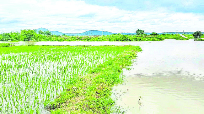 పరిహారం రాలె! 1