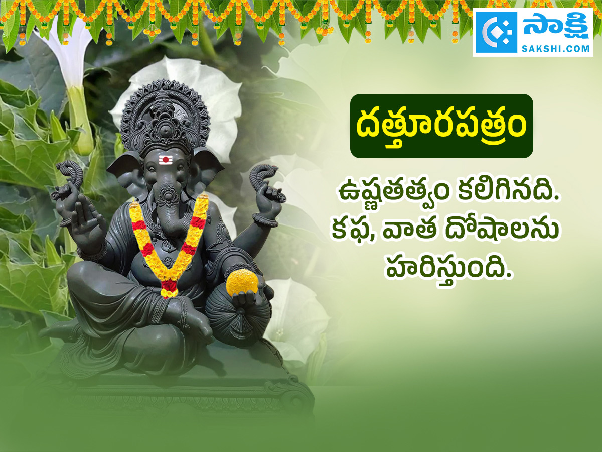 Ganesh Chaturthi 2025 : All About Steps Of Worshipping Lord Ganesha Details Photos10