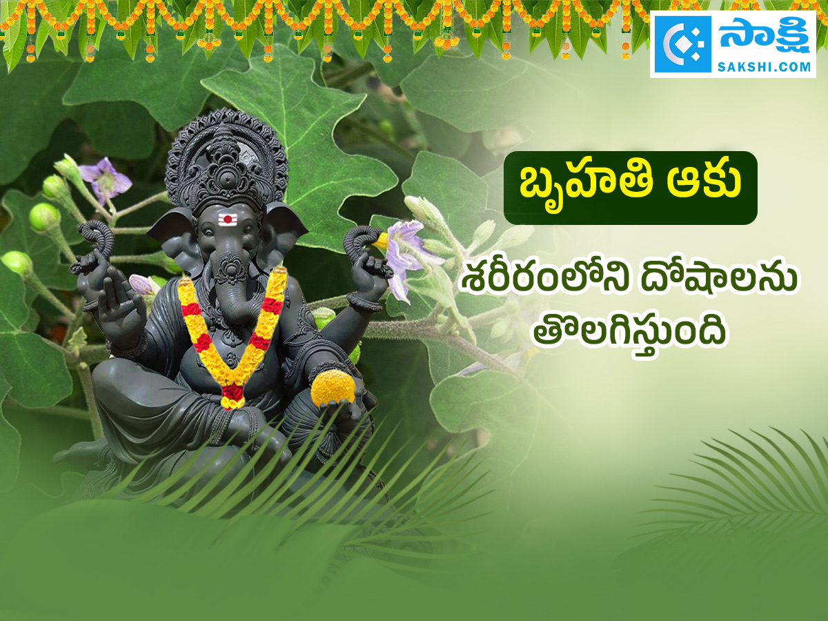 Ganesh Chaturthi 2025 : All About Steps Of Worshipping Lord Ganesha Details Photos13