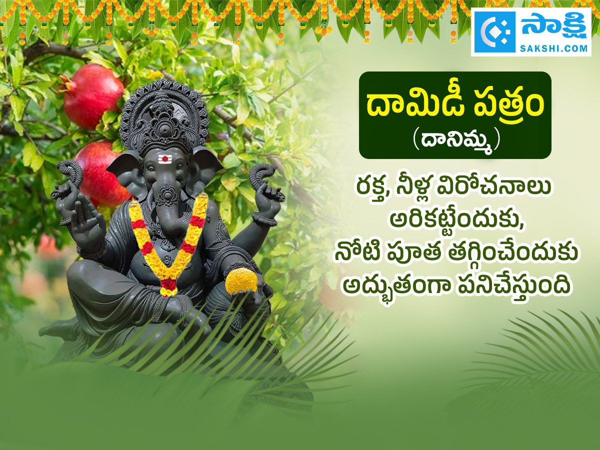 Ganesh Chaturthi 2025 : All About Steps Of Worshipping Lord Ganesha Details Photos14