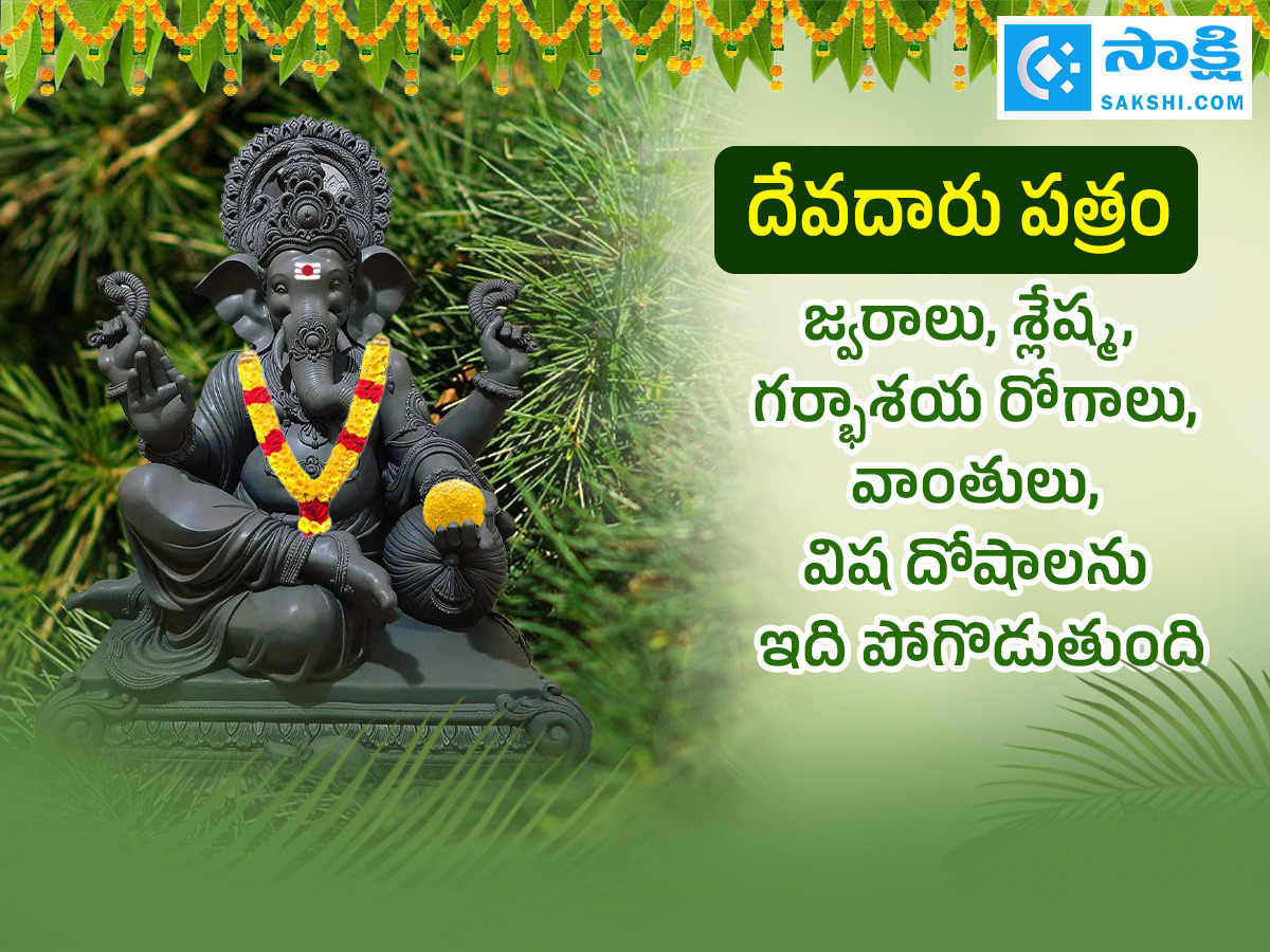 Ganesh Chaturthi 2025 : All About Steps Of Worshipping Lord Ganesha Details Photos15