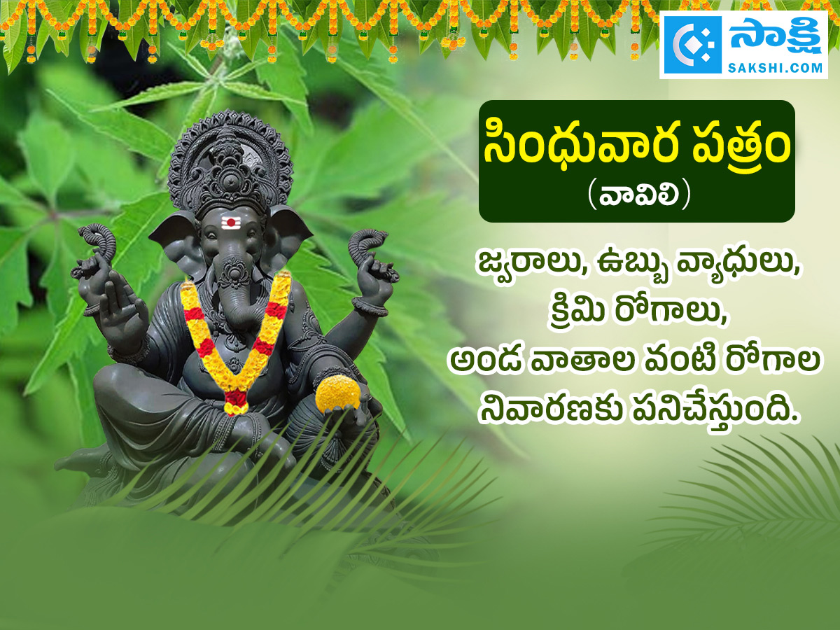 Ganesh Chaturthi 2025 : All About Steps Of Worshipping Lord Ganesha Details Photos17