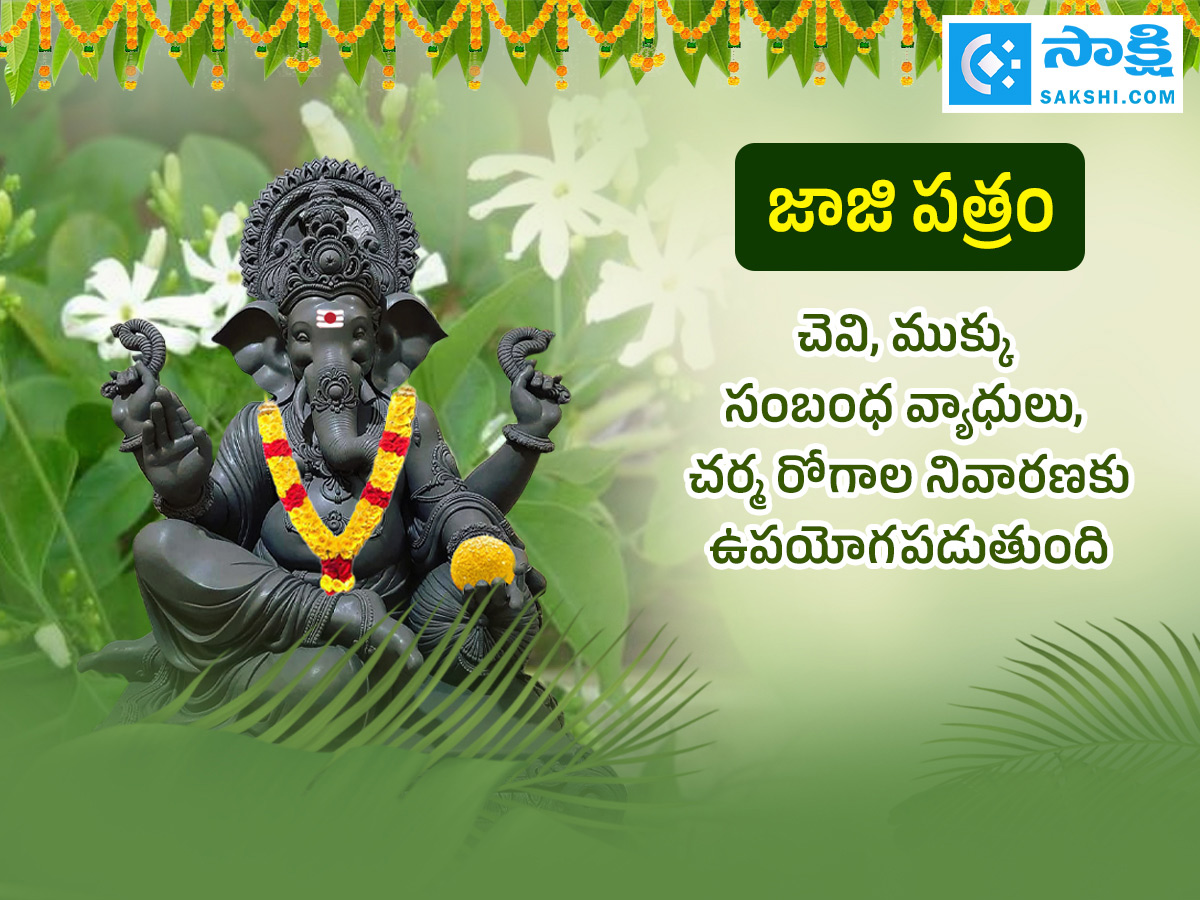Ganesh Chaturthi 2025 : All About Steps Of Worshipping Lord Ganesha Details Photos18