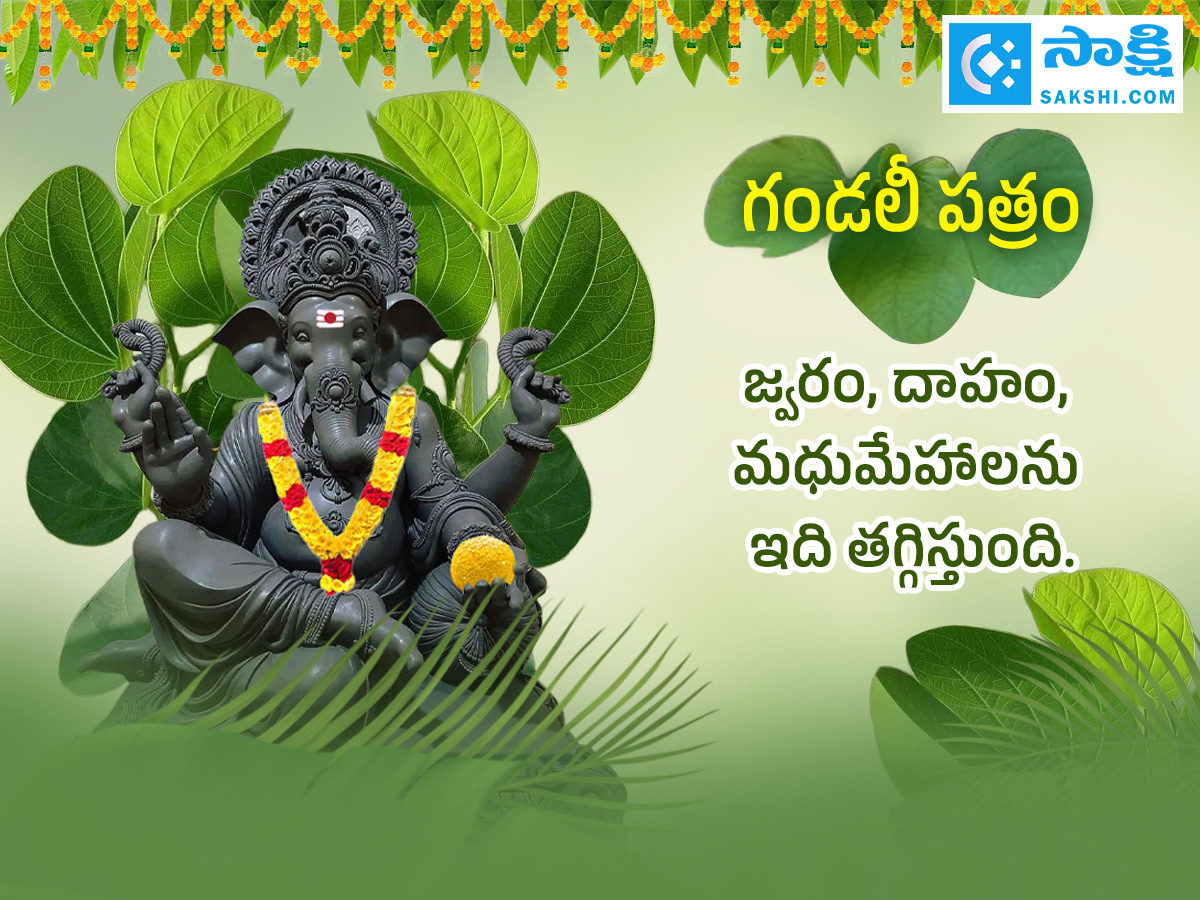 Ganesh Chaturthi 2025 : All About Steps Of Worshipping Lord Ganesha Details Photos19