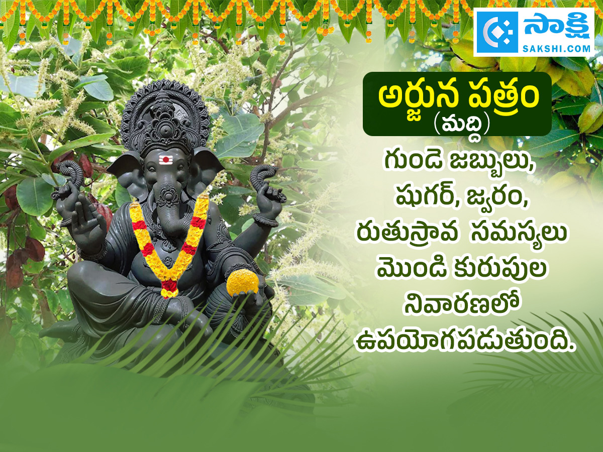 Ganesh Chaturthi 2025 : All About Steps Of Worshipping Lord Ganesha Details Photos20