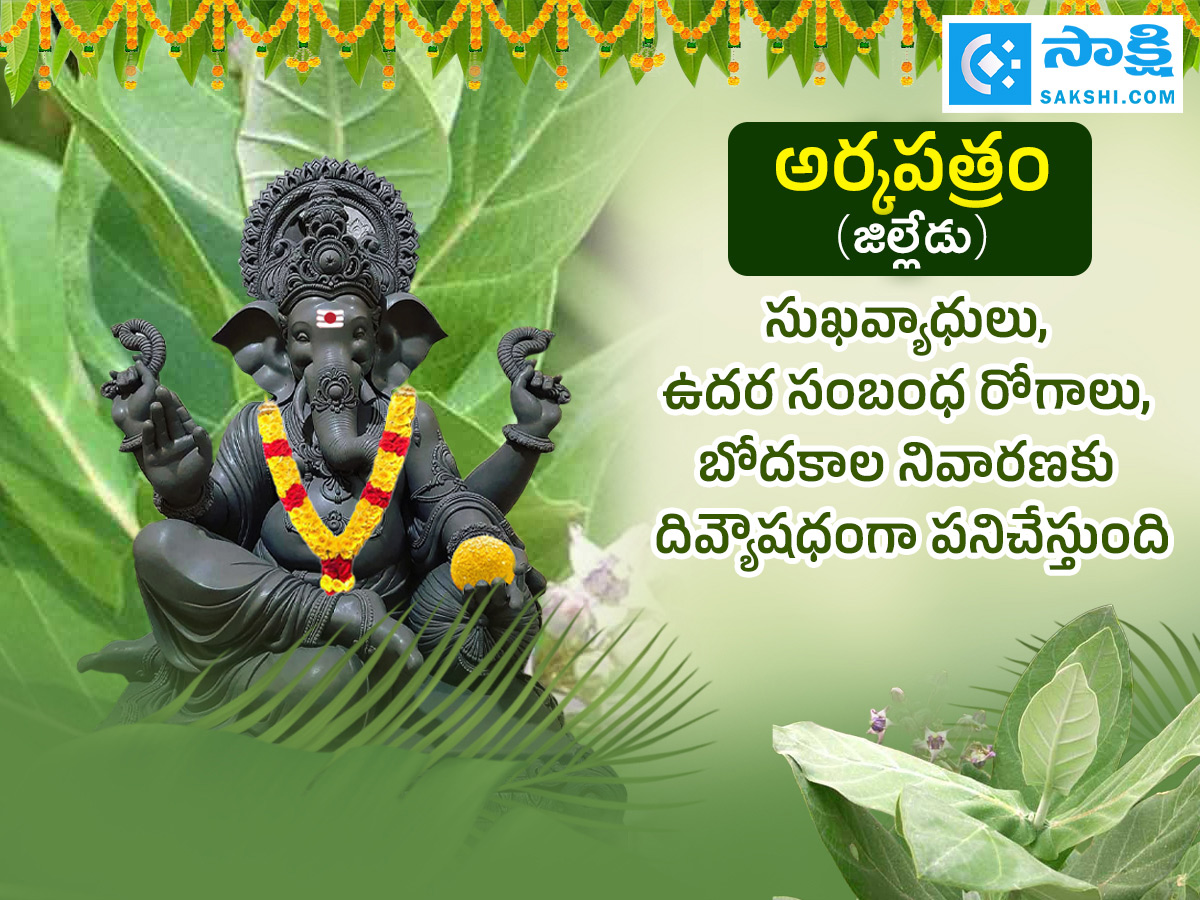Ganesh Chaturthi 2025 : All About Steps Of Worshipping Lord Ganesha Details Photos21