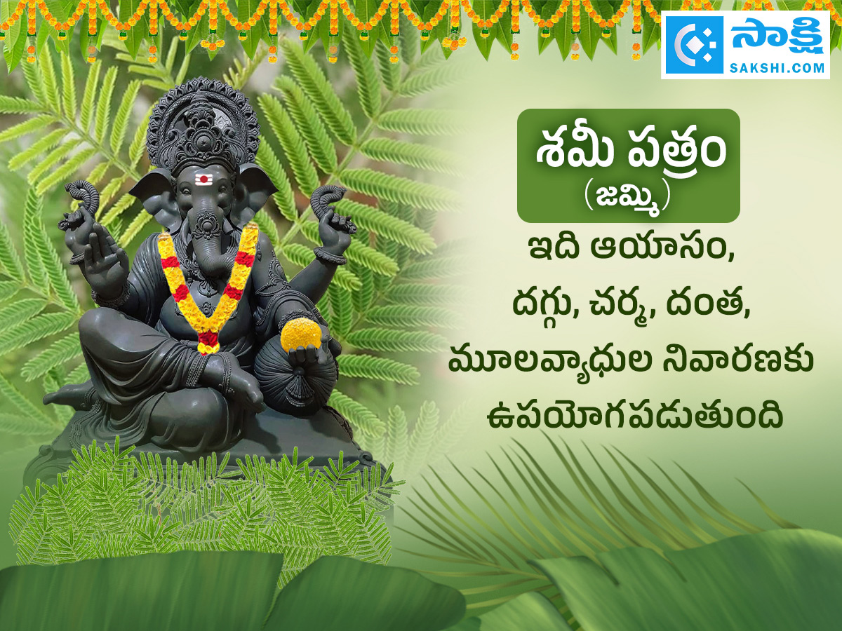 Ganesh Chaturthi 2025 : All About Steps Of Worshipping Lord Ganesha Details Photos4