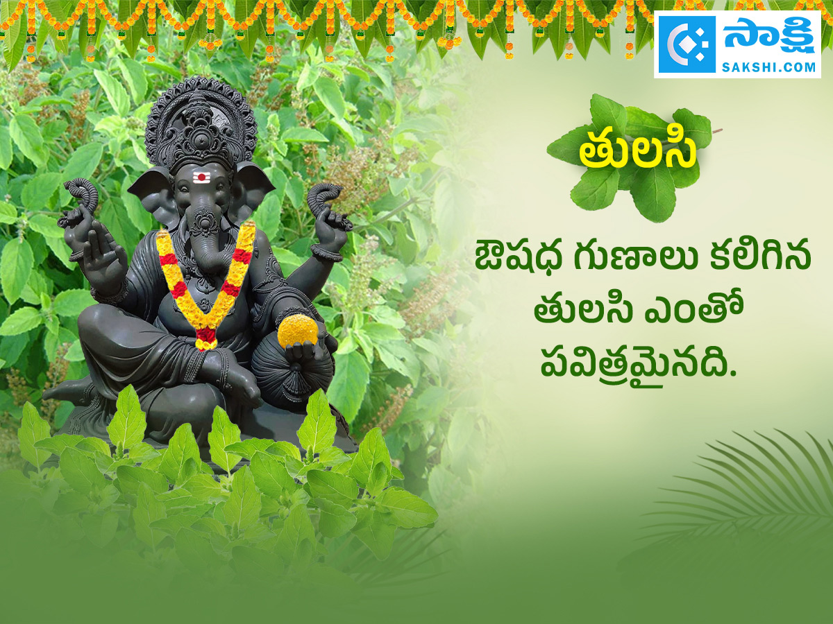 Ganesh Chaturthi 2025 : All About Steps Of Worshipping Lord Ganesha Details Photos6
