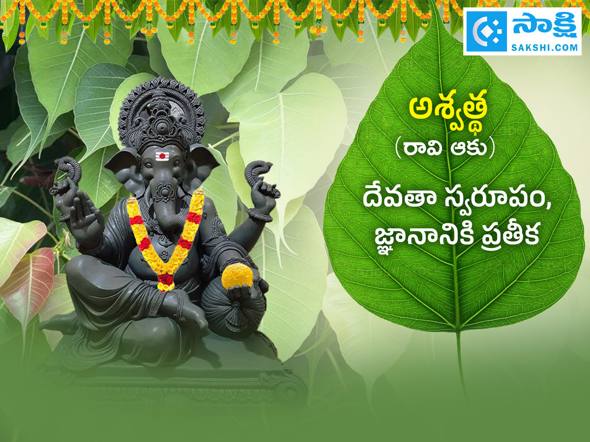 Ganesh Chaturthi 2025 : All About Steps Of Worshipping Lord Ganesha Details Photos8