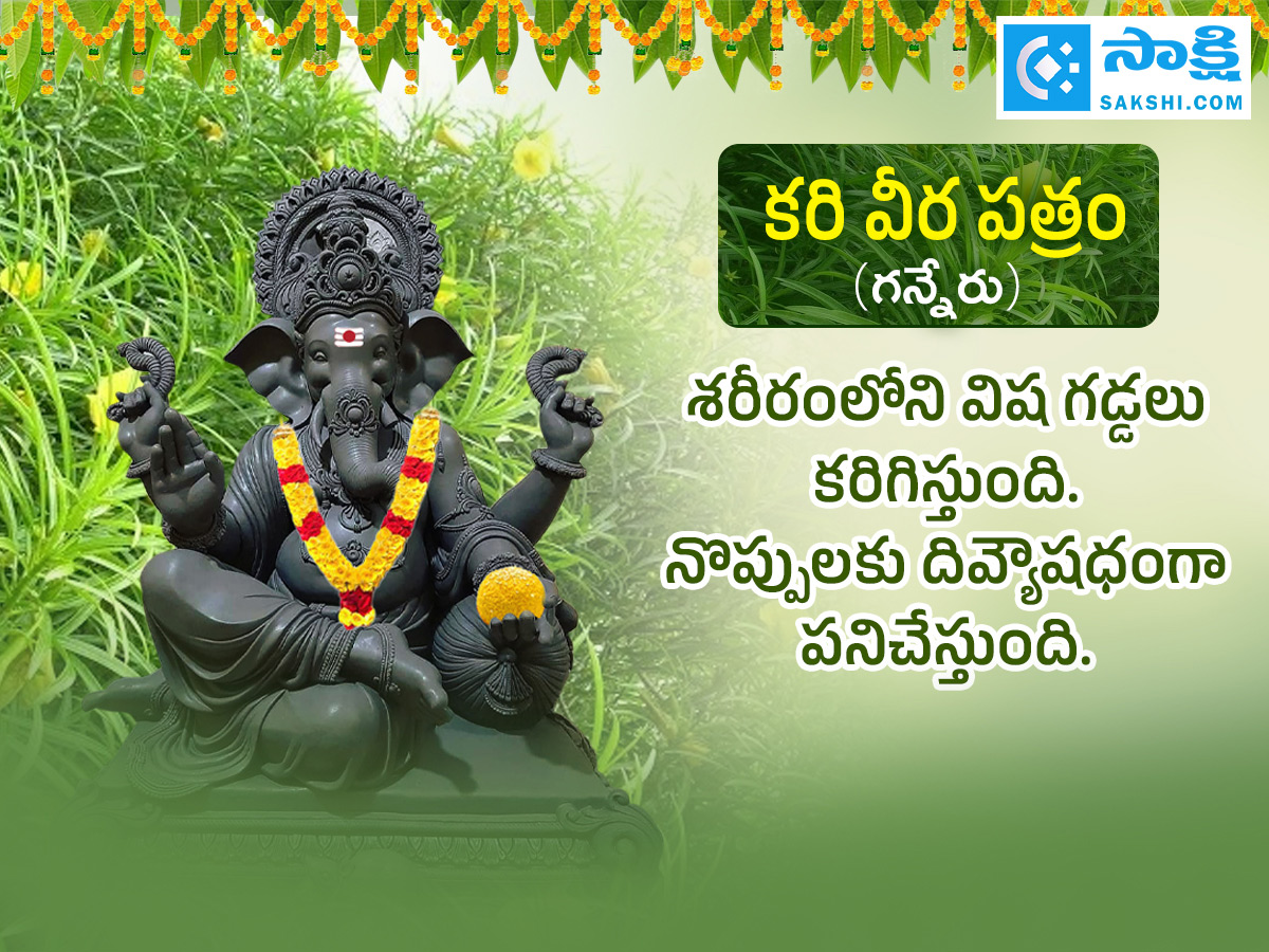 Ganesh Chaturthi 2025 : All About Steps Of Worshipping Lord Ganesha Details Photos9