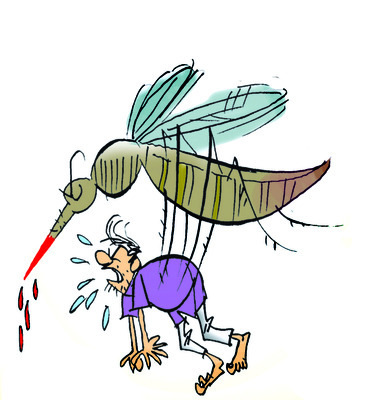 బాబోయ్‌.. డెంగీ1