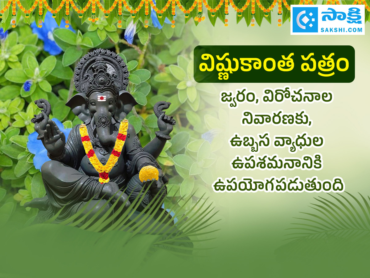 Ganesh Chaturthi 2025 : All About Steps Of Worshipping Lord Ganesha Details Photos22