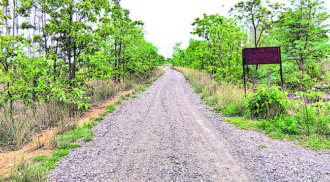 నత్తేనయం!1