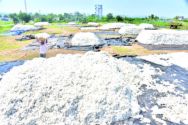 ఏకదంతా.. నమో నమః. ఏటా నీ రాక కోసం వెయ్యి కళ్లతో ఎదు రు 5