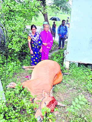 జిల్లాలో  360 మి.మీ. వర్షం4