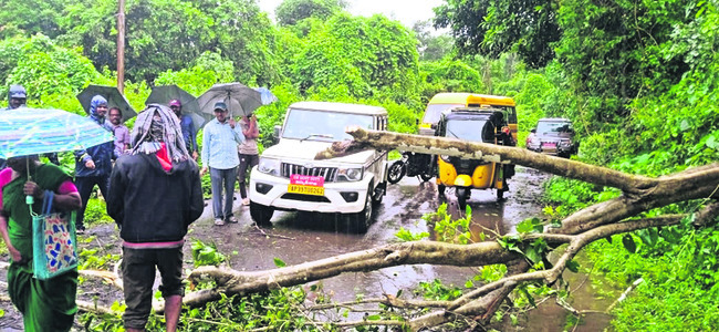 పొంగిన వాగులు, గెడ్డలు2