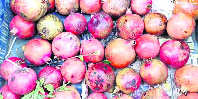 ముగిసిన ధ్రువపత్రాల పరిశీలన 1