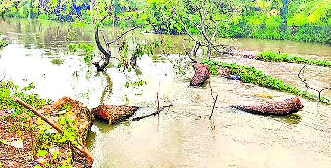 ‘పీఎంవీబీఆర్వై’పై అవగాహన సదస్సు 1
