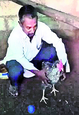 తహసీల్దారు ఆఫీసును గొర్రెలతో ముట్టడి 1