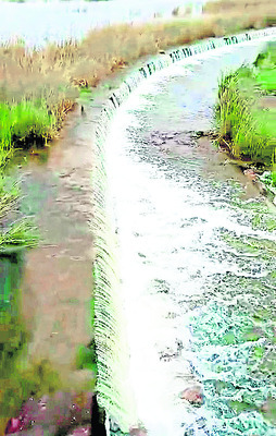 జిల్లాలో ఎడతెరిపి లేని వర్షం2